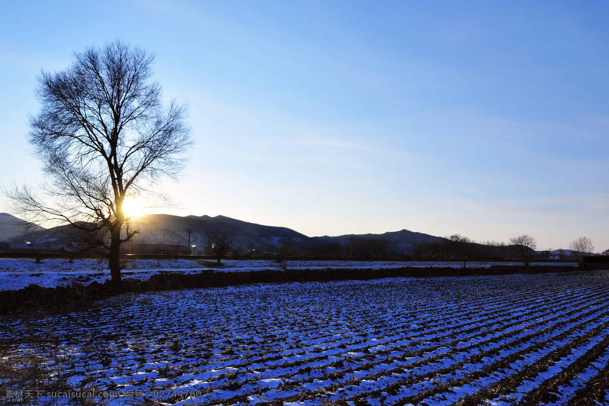 白色 冰雪 世界 风景