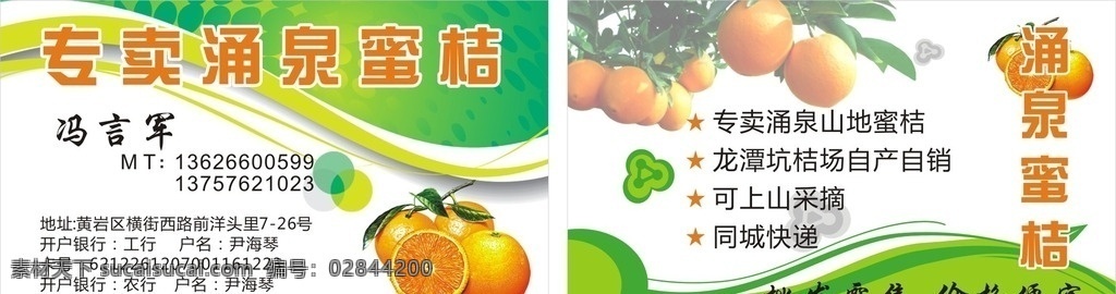 涌泉蜜橘 名片 涌泉蜜桔 绿色线条 绿色背景 橘子 画册设计