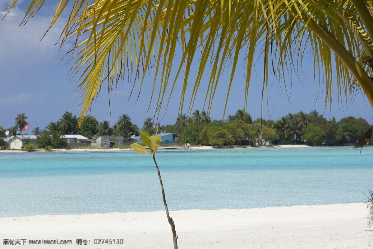 马尔代夫 风景 风光 景色 唯美 自然景观 自然风景