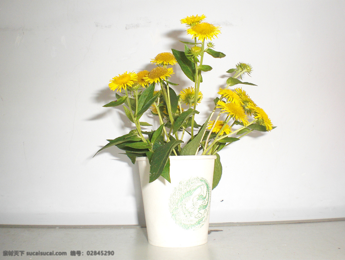 白墙 花草 花卉 绿叶子 生物世界 小黄花 黄花 纸杯 高清 图 一次性纸杯子 矢量图 日常生活