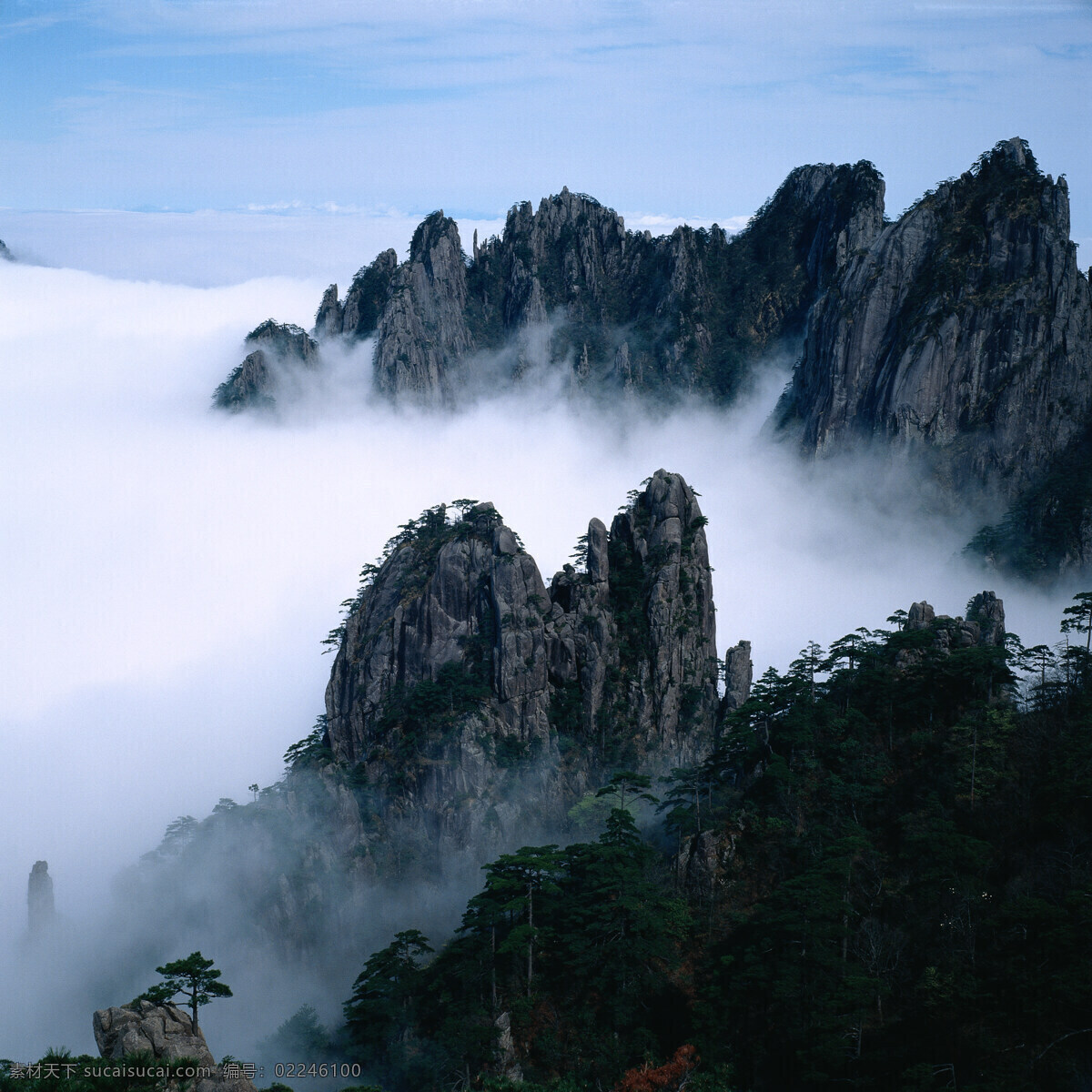 风景 图 风景名胜 风景图 高清 绿叶 美景 山水风景 滕蔓 自然风光 自然风景 自然景观 巨幅风景图片 家居装饰素材 山水风景画