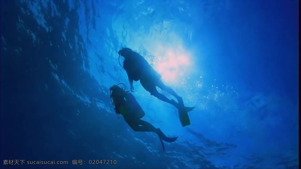 潜水 人员 海底 世界 之旅 潜水人员 海底世界之旅 海底世界 人物 阳光 实拍视频 视频 视频素材