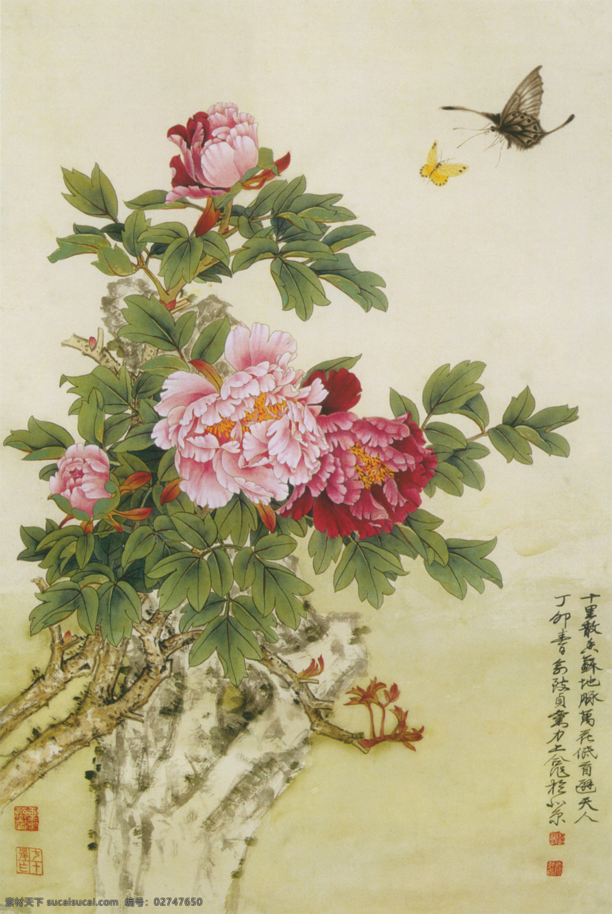 蝶戏牡丹图 国画 牡丹 蝴蝶 工笔 绘画书法 文化艺术
