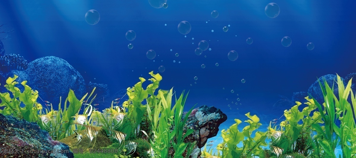 鱼缸背景 黑色 山水 蓝色 水草