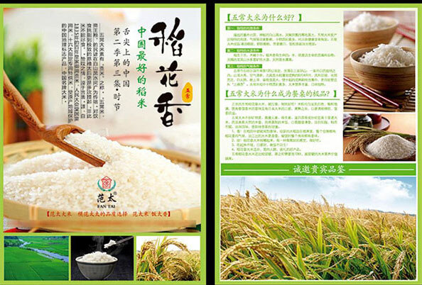 稻花香 大米 宣传单 稻 小麦 粮食稻花香 大米宣传 单 宣传彩页 单页 彩页 宣传单模板 白色
