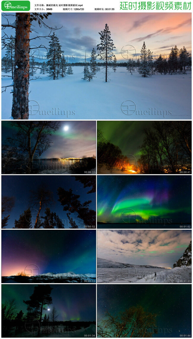 挪威的极光 延时 视频 挪威 极光 雪地 松林 夜空 星空 云层 炫彩夜空 延时摄影 视频素材 mp4 黑色
