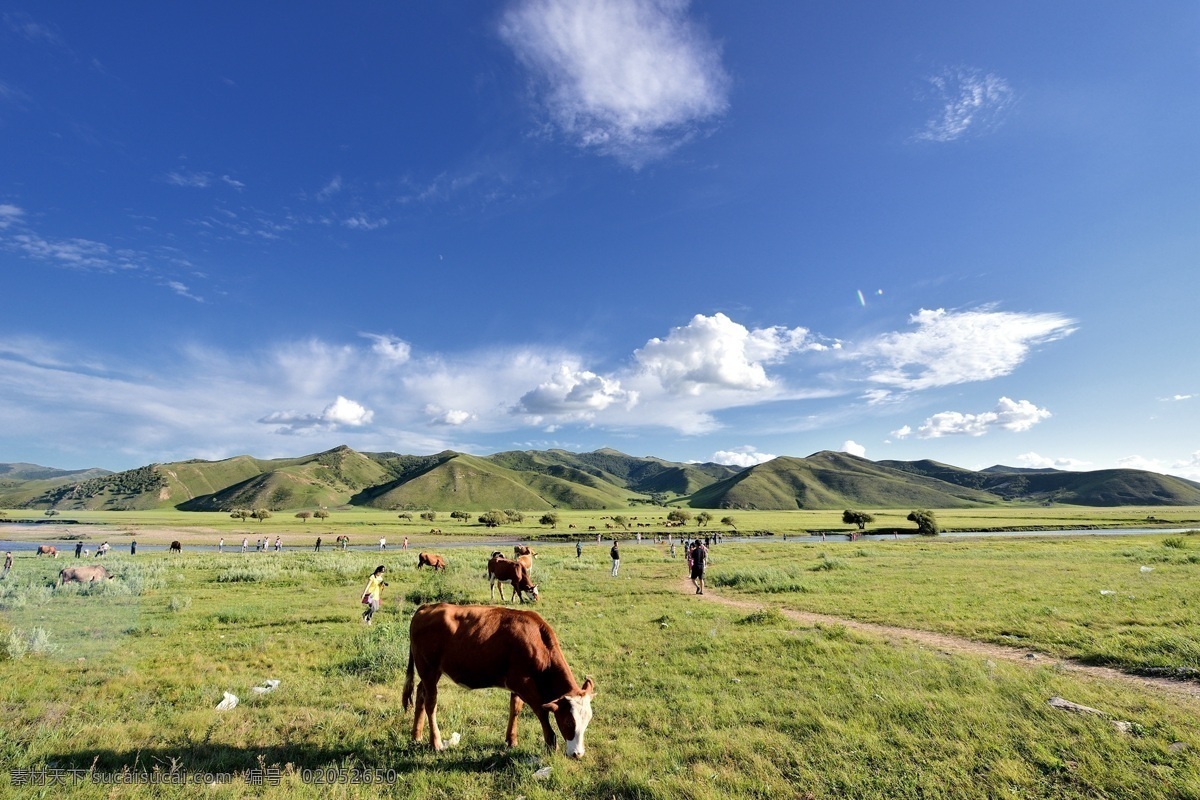 内蒙古 科尔沁草原 风景