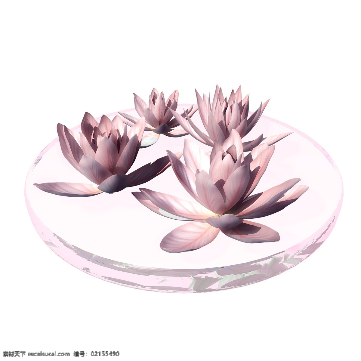 立体 荷花 图 花朵 创意 套图 png图 粉色 莲花 开花 花卉 3d 池塘 夏季 小花