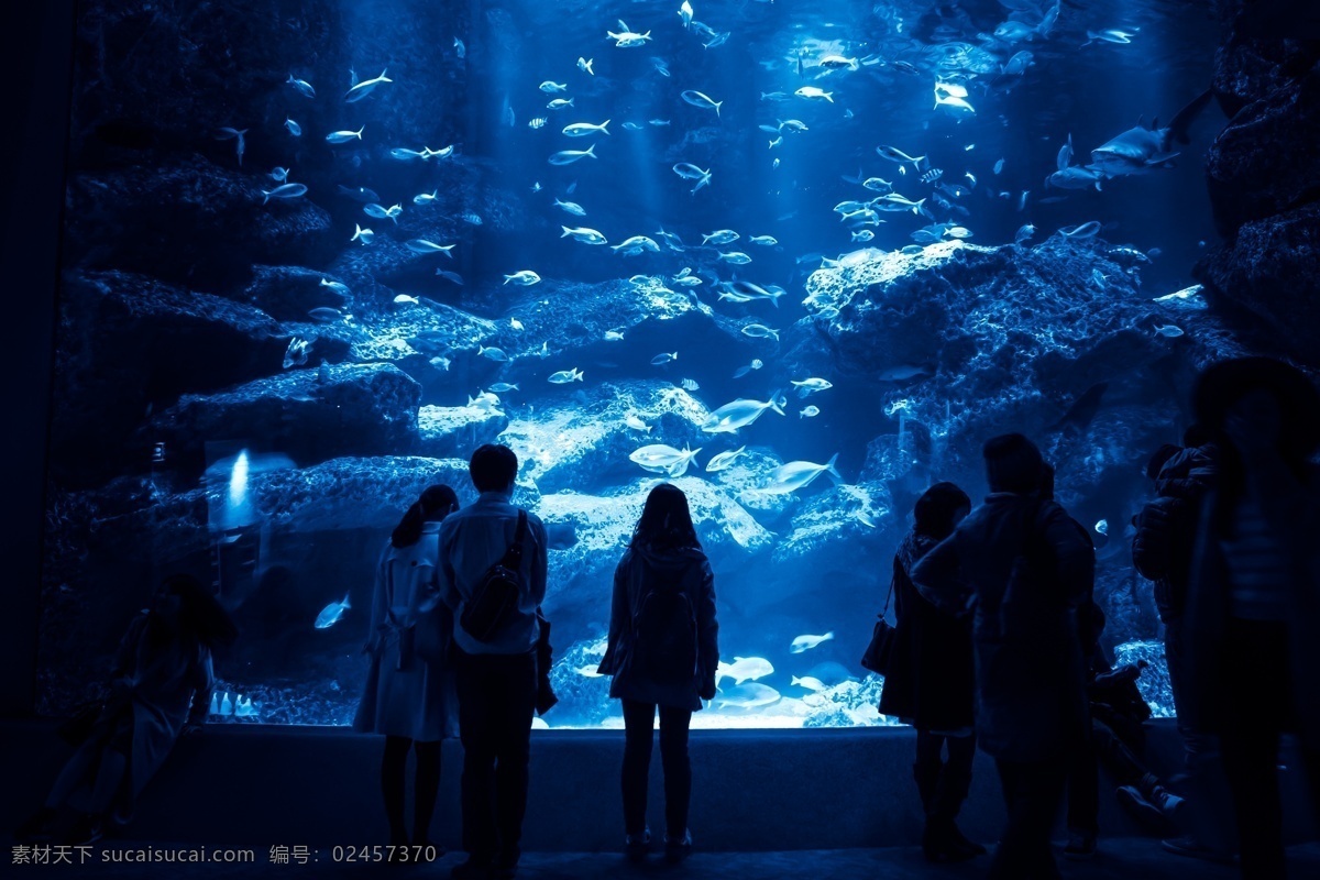 海洋馆 海洋生物 海洋世界 海洋鱼类 鱼缸 海洋鱼 海洋动物 海洋 女孩 观赏 观赏鱼 32海洋生物 生物世界