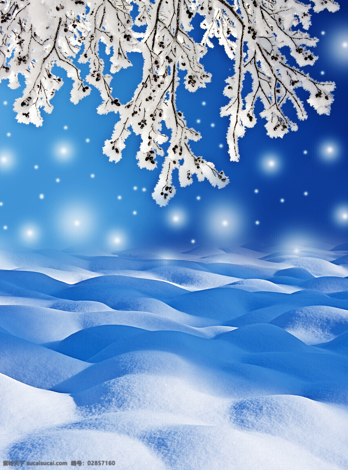 光斑 树挂 雪地 雪花 雪景 雾凇 山水风景 风景图片