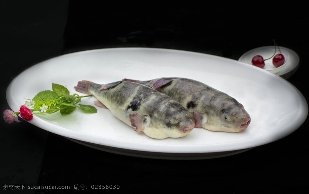 红烧河豚 烧河豚 河豚 长江河豚 海鲜 餐饮美食 传统美食