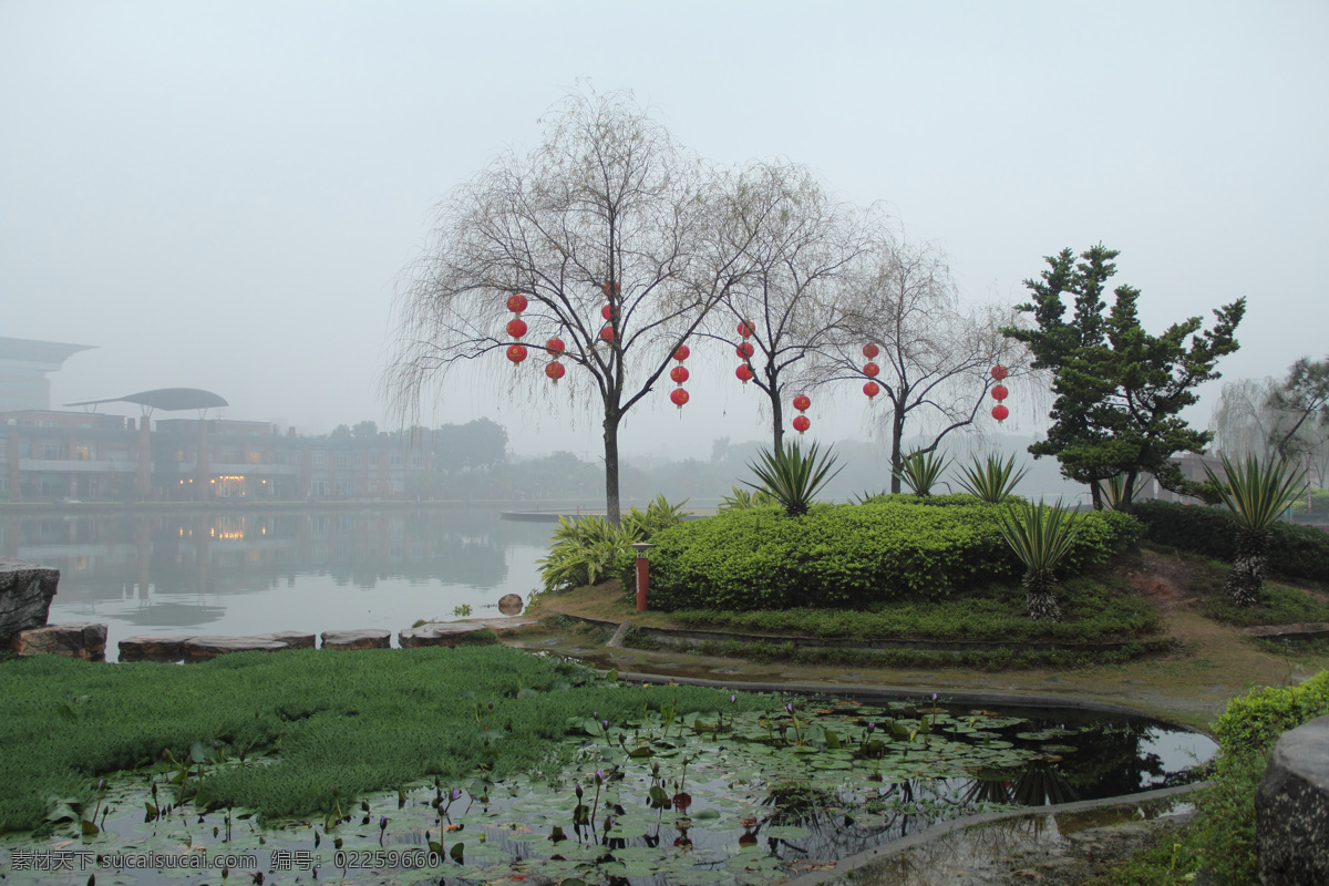 风景 公园 公园风景 湖 湖水 建筑园林 树木 千 灯 一角 千灯湖公园 自然风景 公园一角 园林建筑 家居装饰素材 灯饰素材