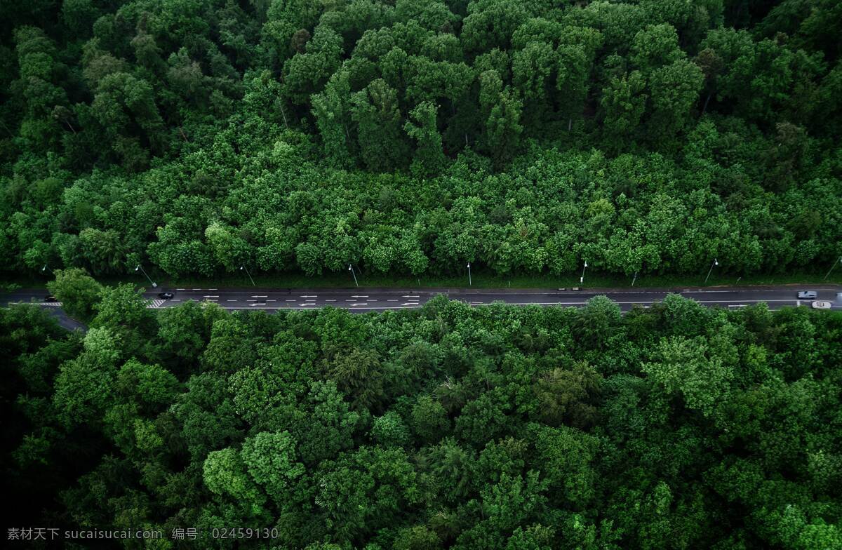 壁纸 桌面 背景 背景图 唯美 浪漫 风景 高清 横图 树林 树木 山林 绿色 环保 新鲜 公路 马路 小路 回家 自然景观 自然风景