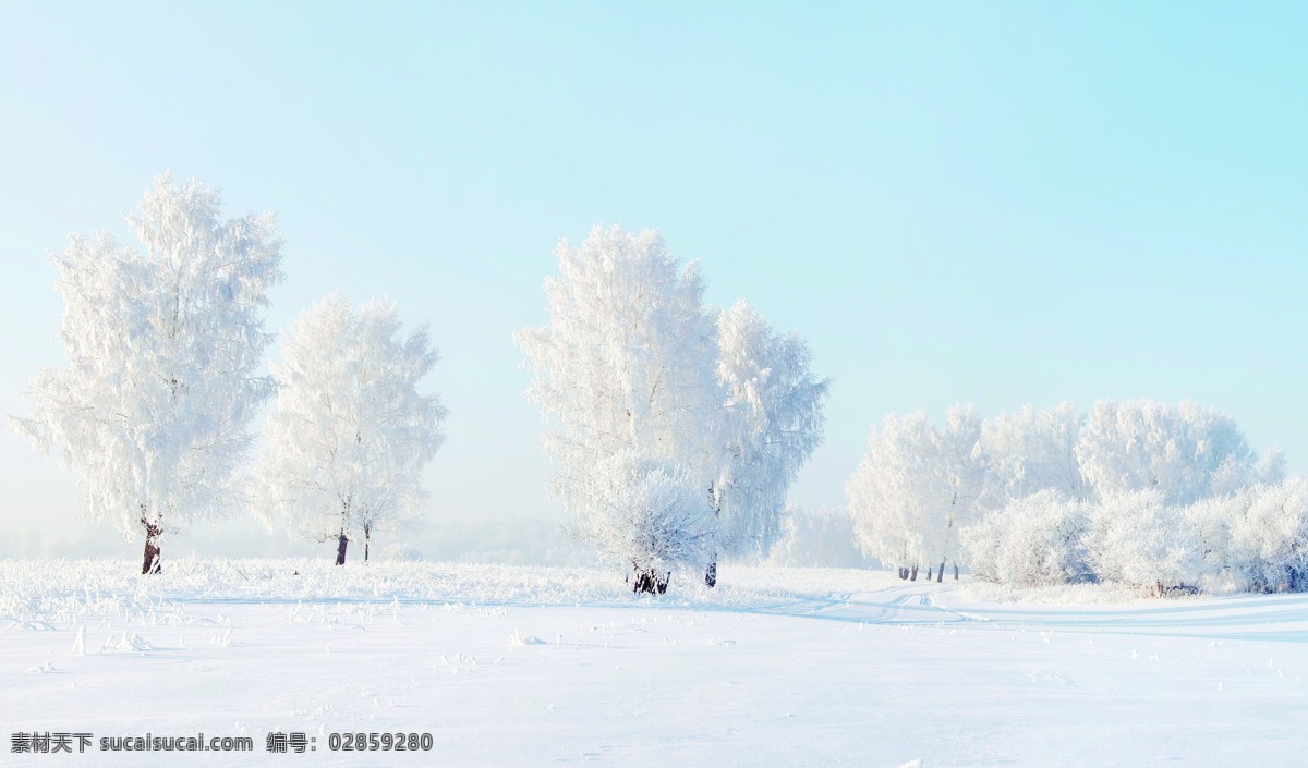 林海雪原 冰天雪地 冰雪世界 雪地 雪国 雾凇 白色 旷野 野外 自然 美丽 雪花 雪山 震撼 美丽自然 自然风景 自然景观