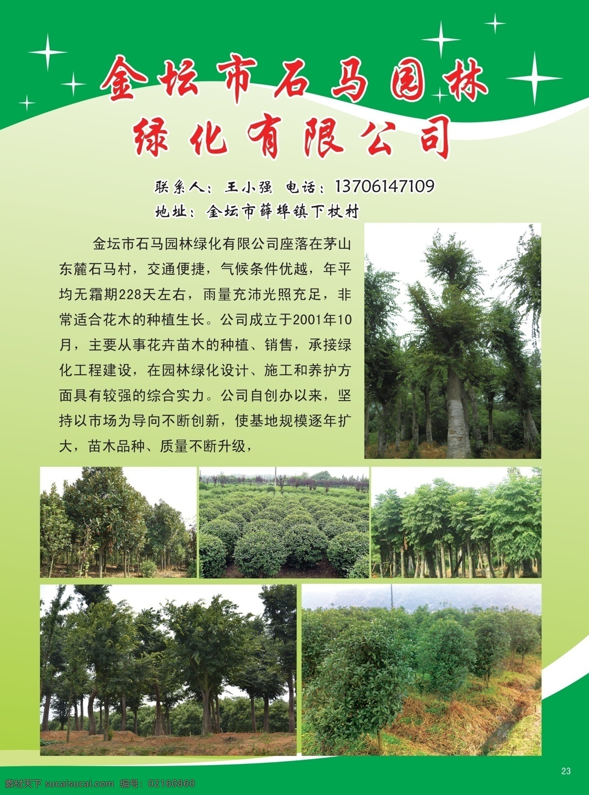 金坛市 石马 园林绿化 苗木 基地 榉树 广玉兰 桂花 花木手册 分层 源文件