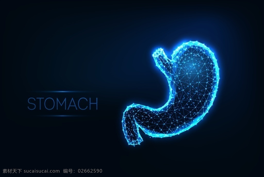 科技胃部 肠胃透视 胃 胃部 胃部结构 消化系统 肠胃 人体透视 身体检查 拍ct 身体结构 人体研究 医学器官 医学器官图鉴 医疗护理 现代科技 动漫动画