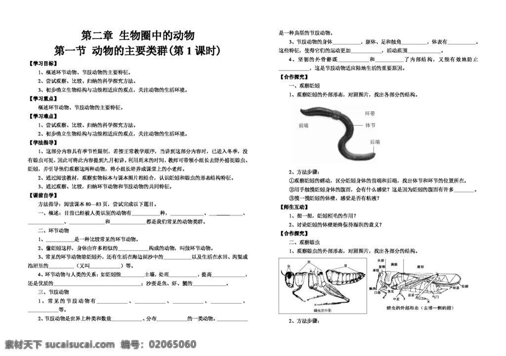七 年级 上册 生物 节 动物 主要 类群 七年级上册 学案