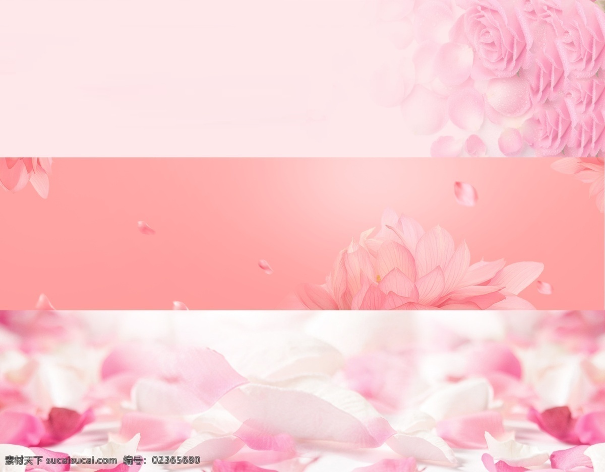粉红色 花朵 浪漫 海报 banner 白色