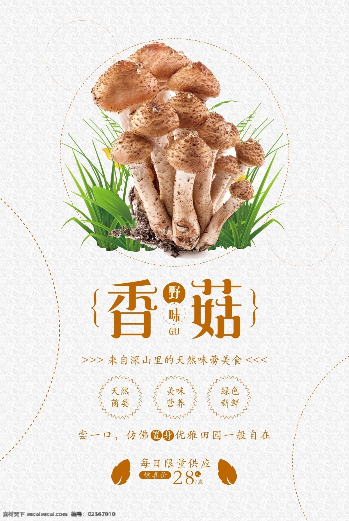 香菇海报 香菇详情页 香菇图片 野生香菇 香菇主图 精选香菇 香菇干 干香菇