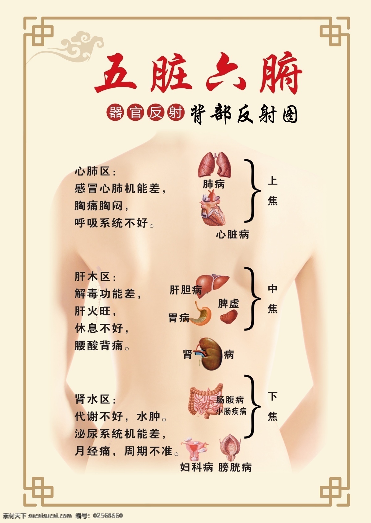 五脏六腑图片 采耳 头疗 护理 养生 禅意