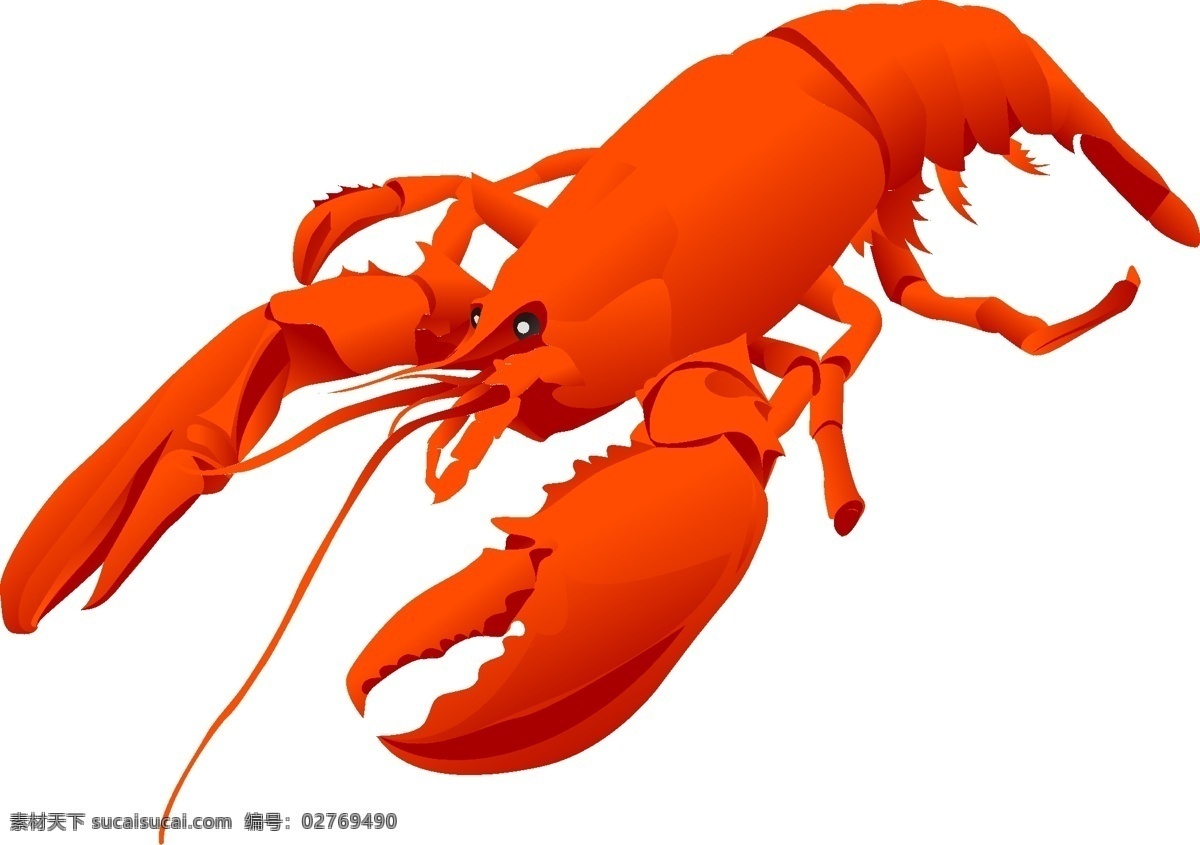 龙虾 矢量 逼真 插画 海产 海鲜 海洋动物 卡通 模板 设计稿 素材元素 源文件 矢量图