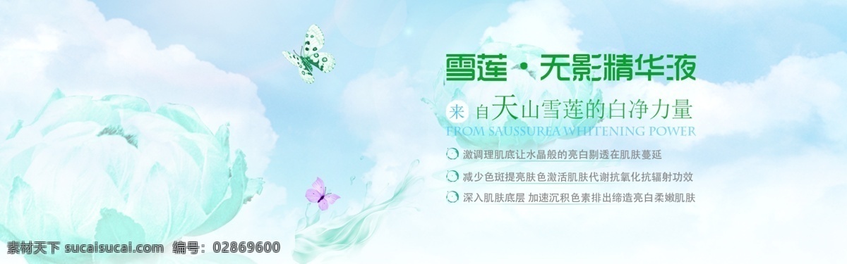雪莲的价值 雪莲 蓝天 促销 白云 白色