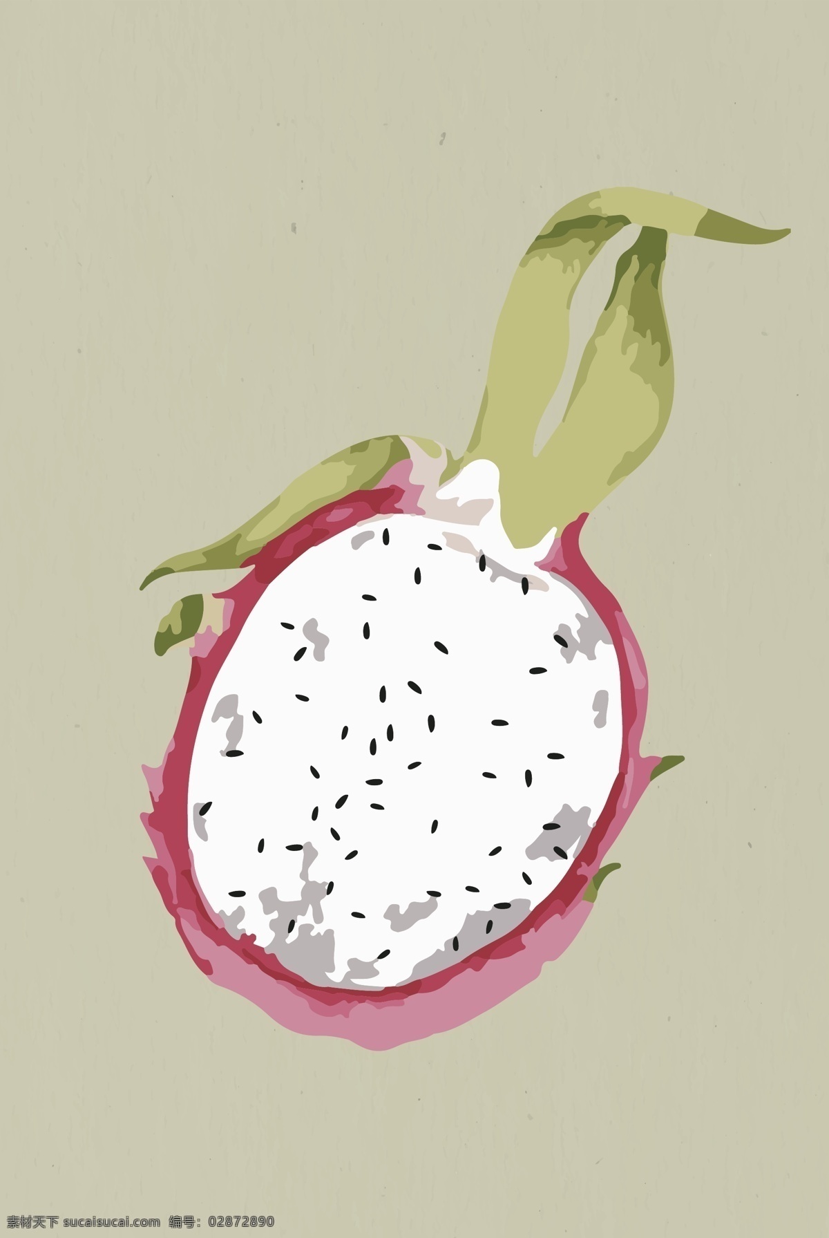矢量火龙果 卡通火龙果 手绘火龙果 火龙果插画 火龙果背景 食物 生物世界 水果