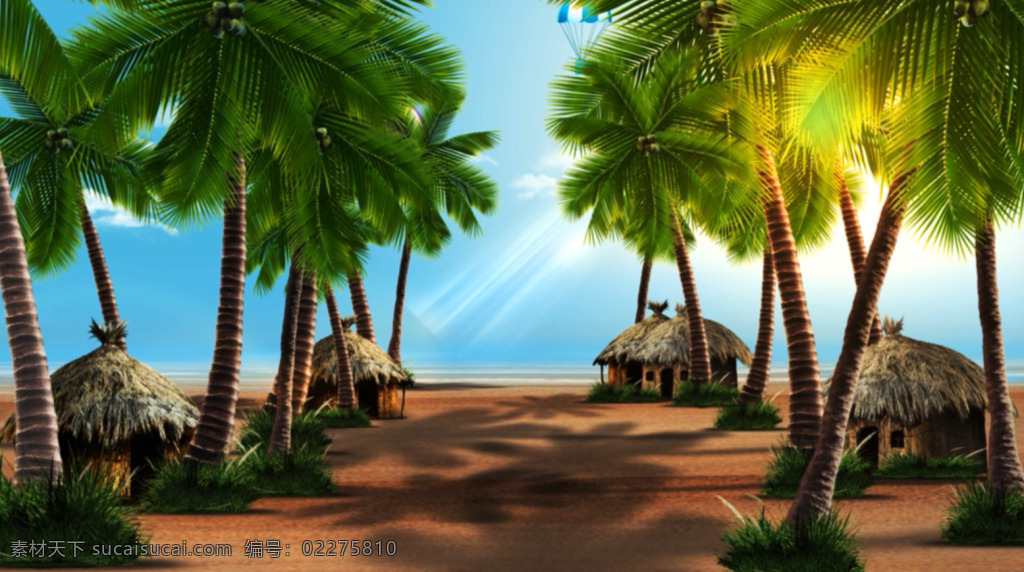 椰子 海岛 视频 椰子树 椰子海岛 动态素材 led素材