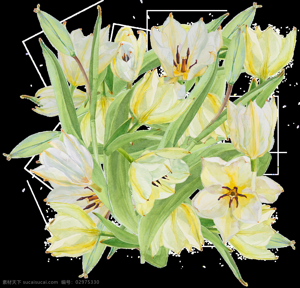 创意 花卉 透明 卡通 装饰 设计素材 装饰素材