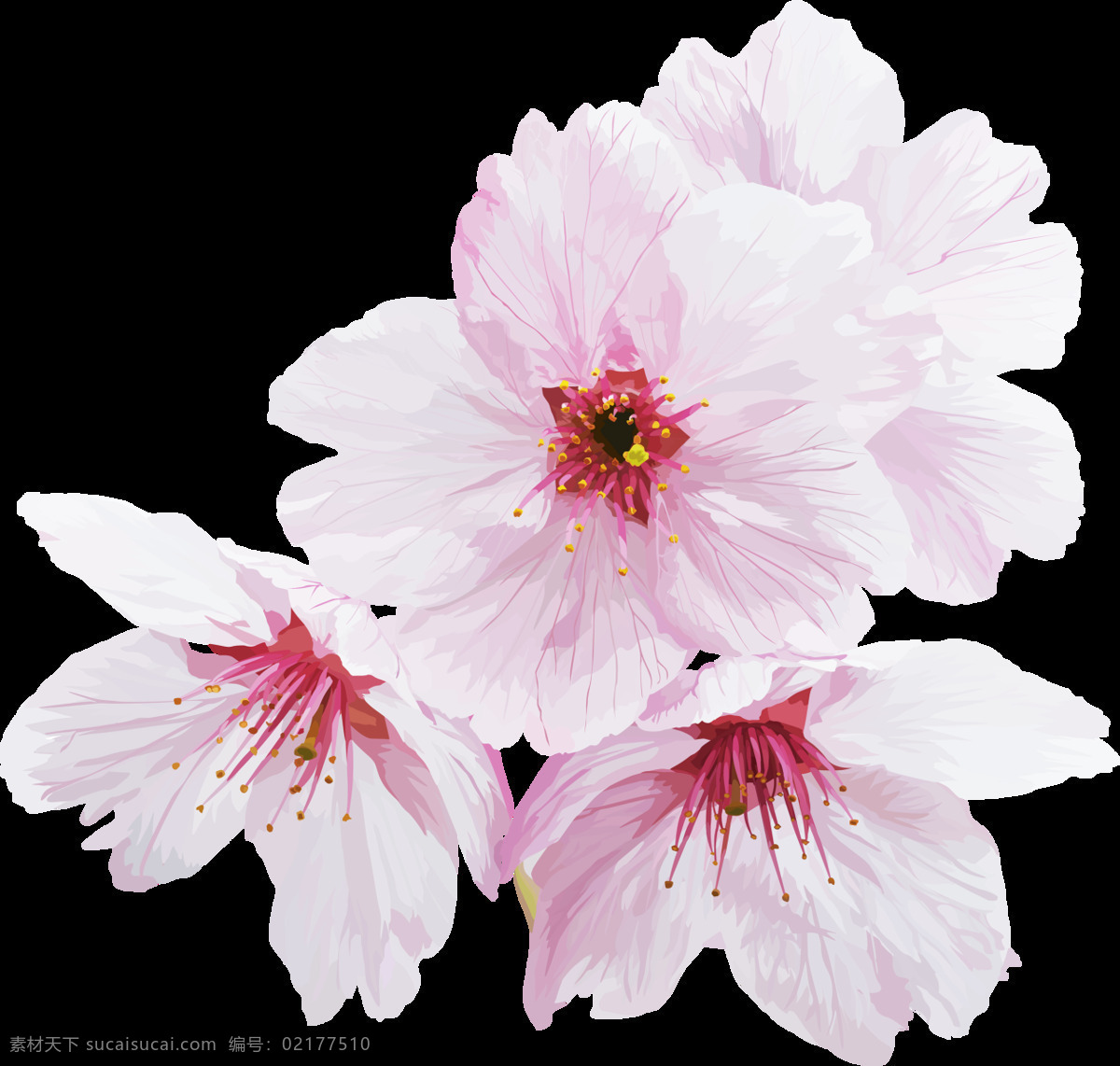 小 清新 白色 花朵 元素 浪漫 粉色渐变 白色花朵 纯洁 小清新 免抠