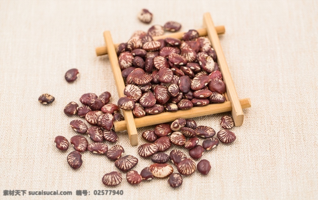 补肾豆 巴马长寿豆 荷包豆 斑马豆 大花豆 巴马芸豆 巴马花豆 跑江湖肾豆 肾豆 豆类 食材 餐饮美食 食物原料