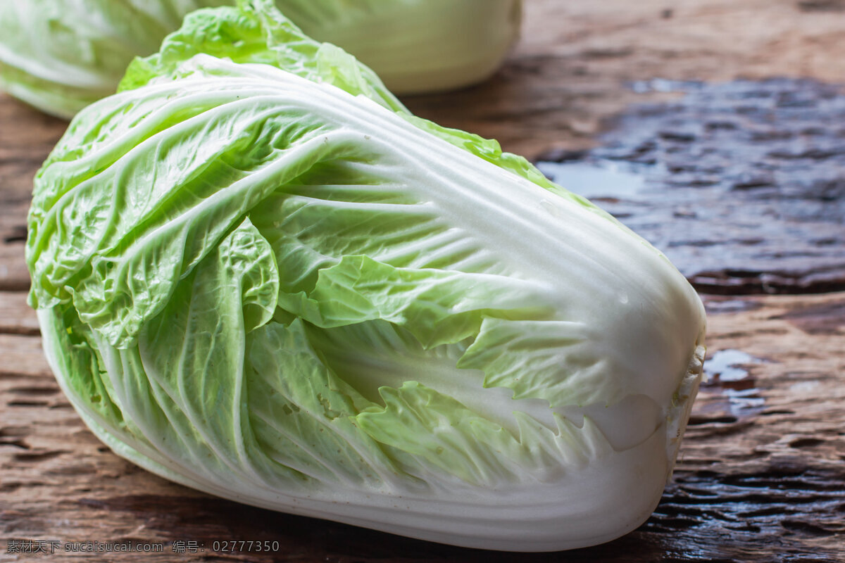 白菜 大白菜 洋白菜 食材 素菜 蔬菜 生物世界