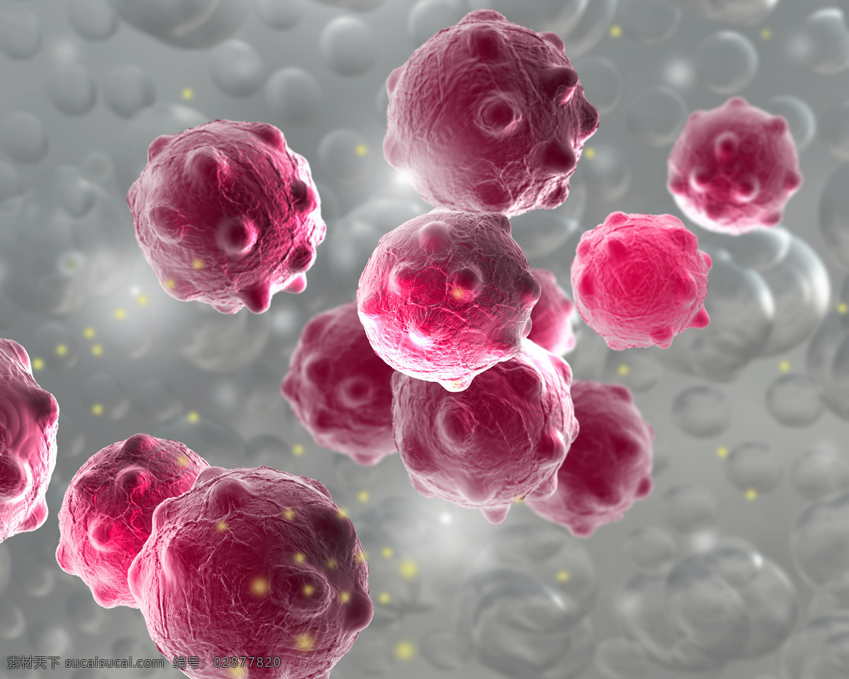 红色 血液 细胞 红细胞 血小板 身体细胞 生物 细胞图片 现代科技