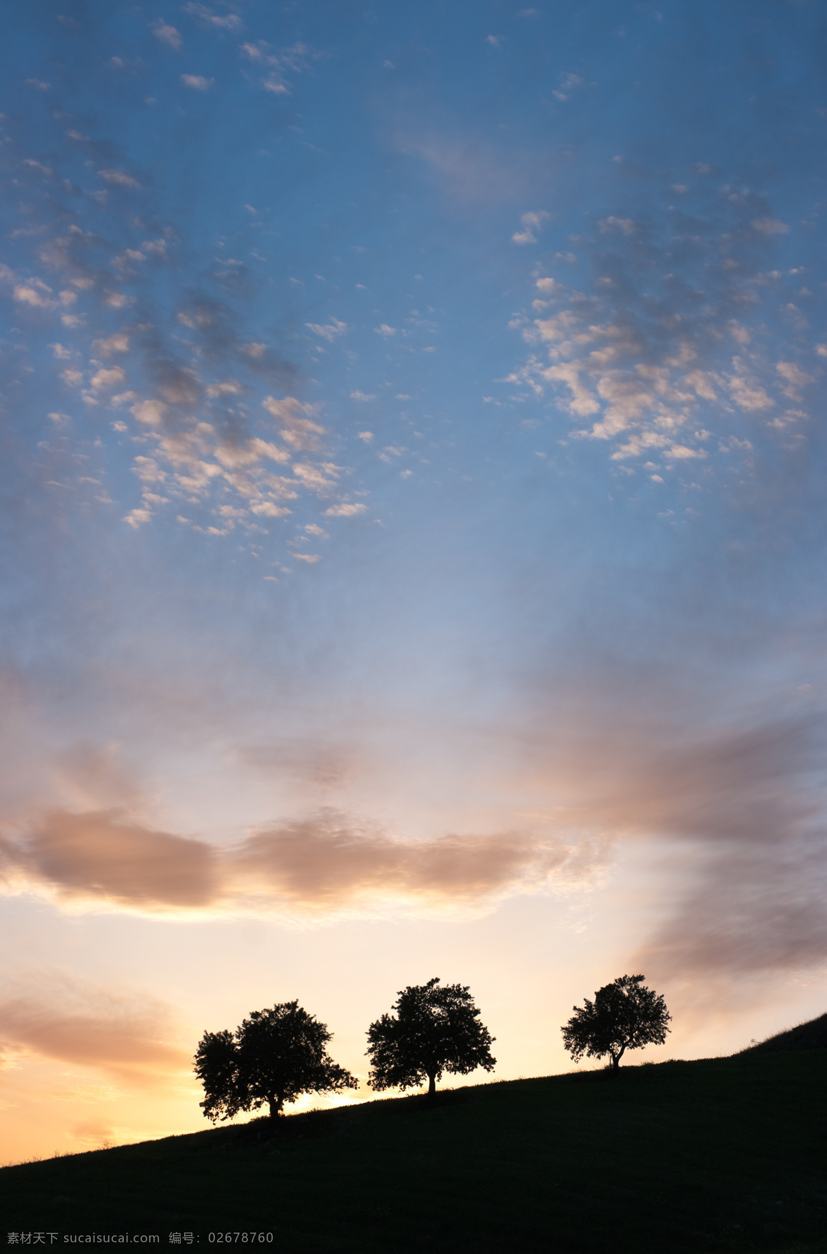 抽象 黄昏 剪影 黎明 欧洲 日落 天空 西西里岛 晨光 中 树 云彩 cloudscape 五颜六色 夜间 组 小山 叶子 大自然的美 自然风景 自然景观
