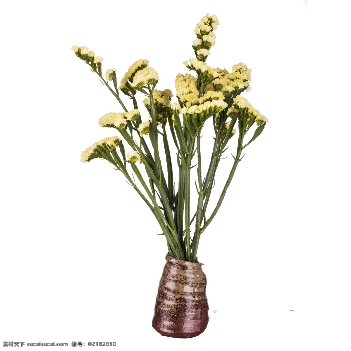 彩色 创意 植物 花朵 元素 真实 小黄花 花瓶 装饰 大自然 生机勃勃 开花 纹理 质感