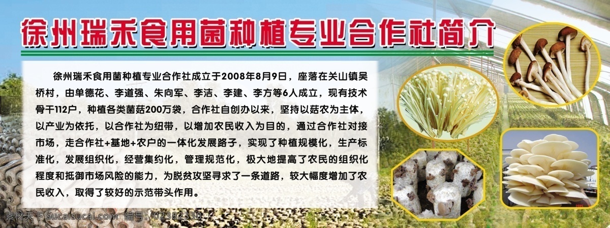 瑞禾 食用菌 种植 简介 徐州 展板模板 广告设计模板 源文件
