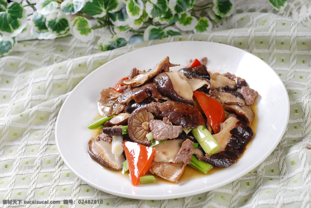 山野蘑菇炒肉 美食 传统美食 餐饮美食 高清菜谱用图