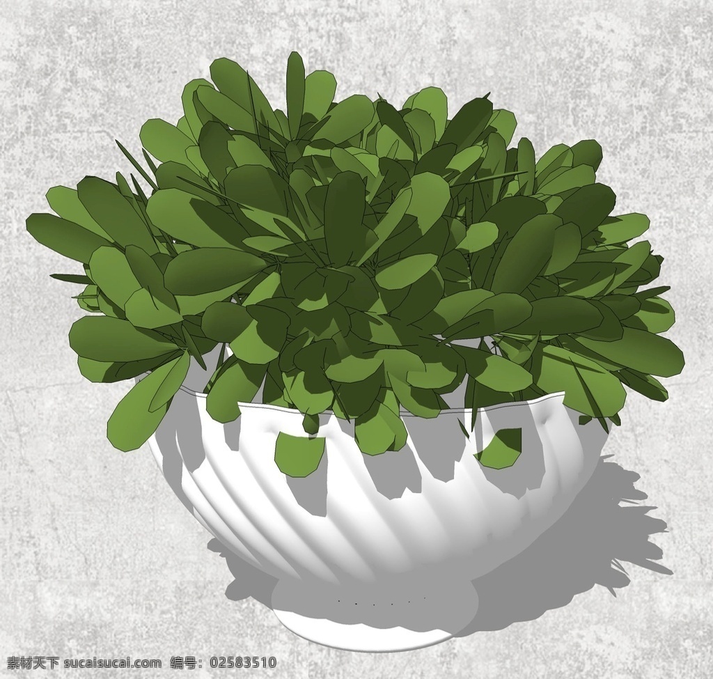 绿植 盆栽 盆栽植物 植物盆景 绿色植物 植物绿化 室内绿化 室内植物 植物景观 草图大师 草图大师模型 植物盆栽摆件 环境设计 景观设计 skp