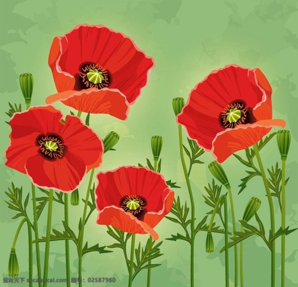 红色 罂粟花 矢量 红色花朵 绿叶 植物 矢量图 格式 高清图片