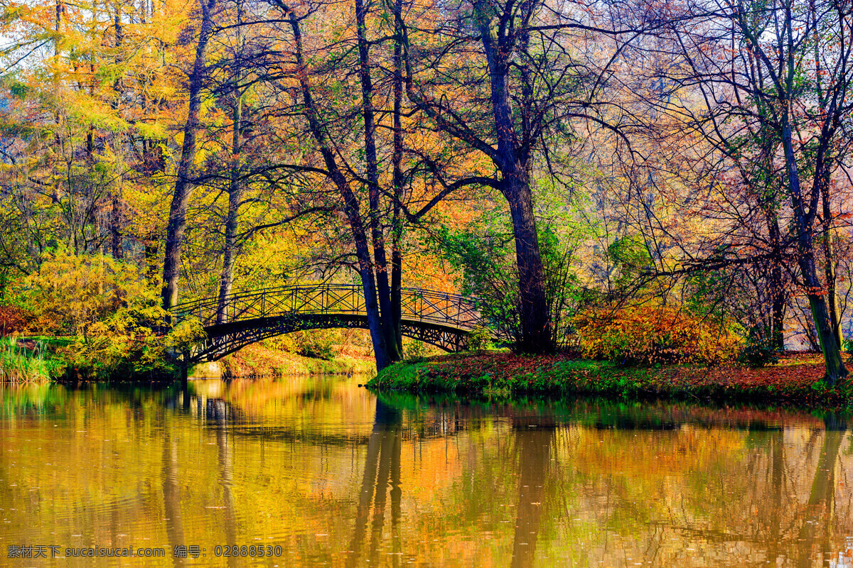 秋天 拱桥 风景摄影 秋天树林风景 小桥 美丽风景 自然风光 美丽景色 美景 自然风景 自然景观 黄色