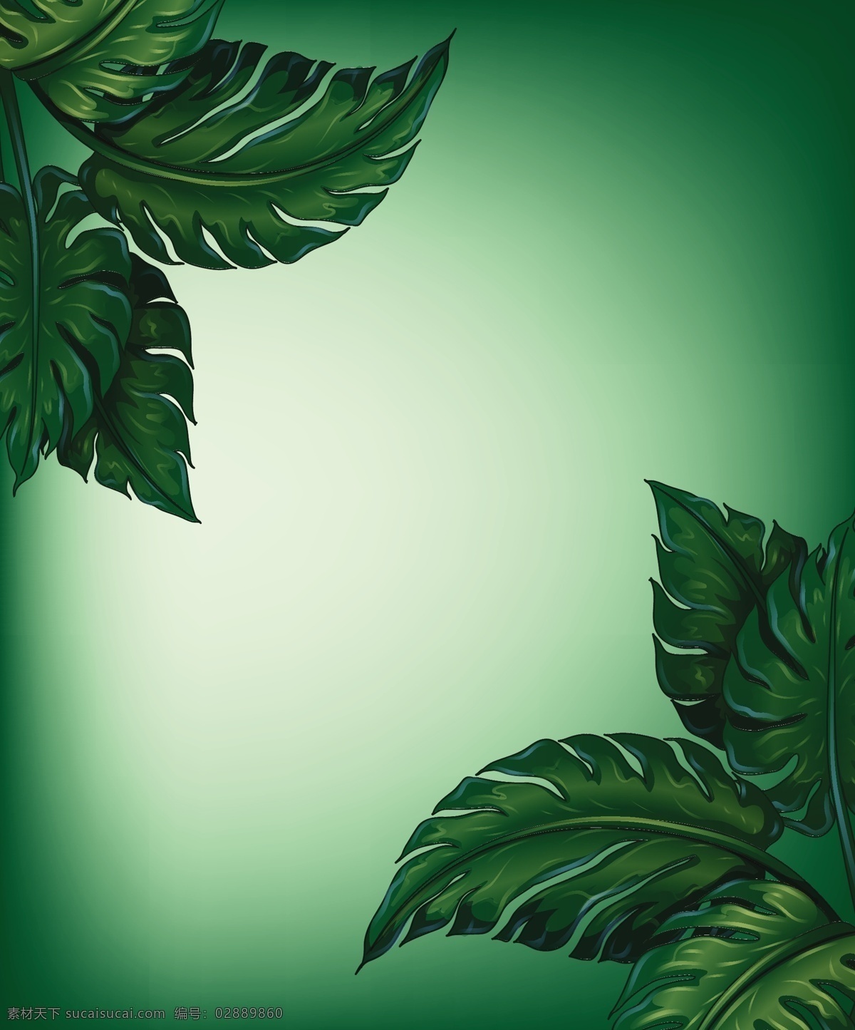 绿色的叶子 旗帜 卡片 纹理 边界 纸张 绿色 卡通 图形设计 树叶 图形 符号 形状 装饰 纸张纹理 绘图 插图 曲线 设计元素