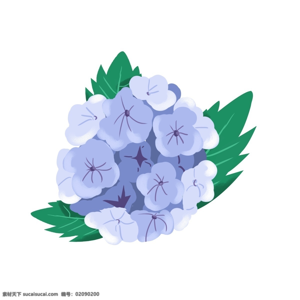 绣 球花 叶子 紫色 水彩 风 植物 元素 绣球花 花朵 水彩风