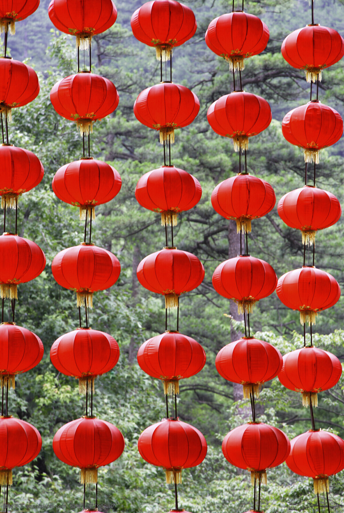 黄山 红灯笼 安徽省 灯笼 春节 节日 红火 红灯龙 风景 景色 美景 摄影图 旅游 旅游景点 著名景点 风景旅游区 高清图片 风景名胜 风景图片