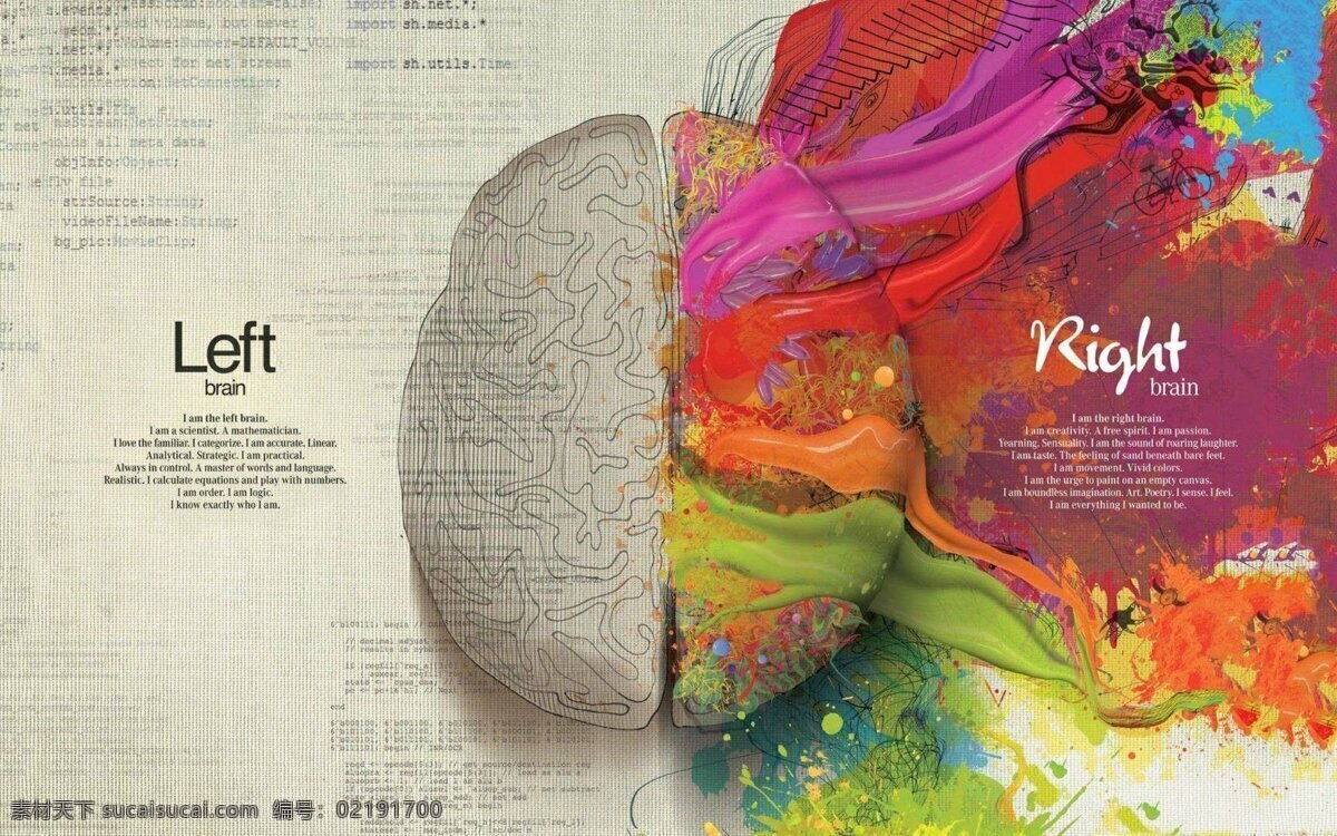 大脑 广告 艺术图 左右脑 创 意图 设计素材 模板下载 左右脑创意图 左脑 右脑 psd源文件