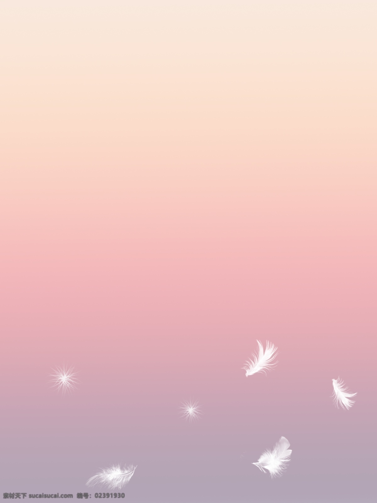 粉色 纯色 背景 清新 少女 羽毛 时尚 彩霞