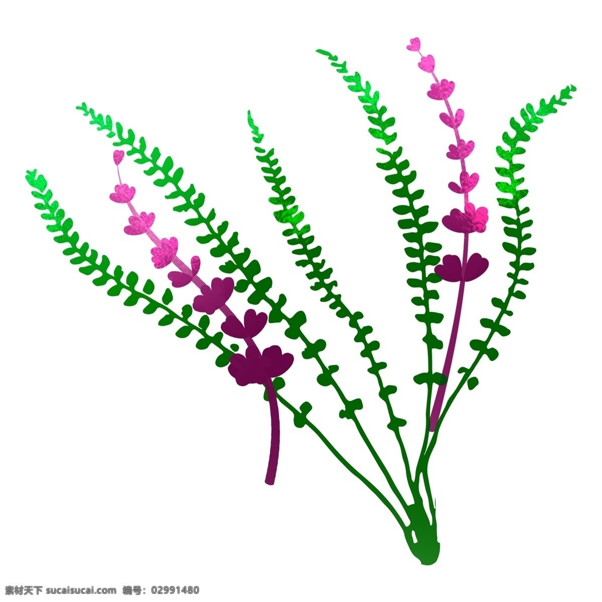可爱 水彩 花卉 插画 免扣素材 透明素材 卡通素材 植物 绿色