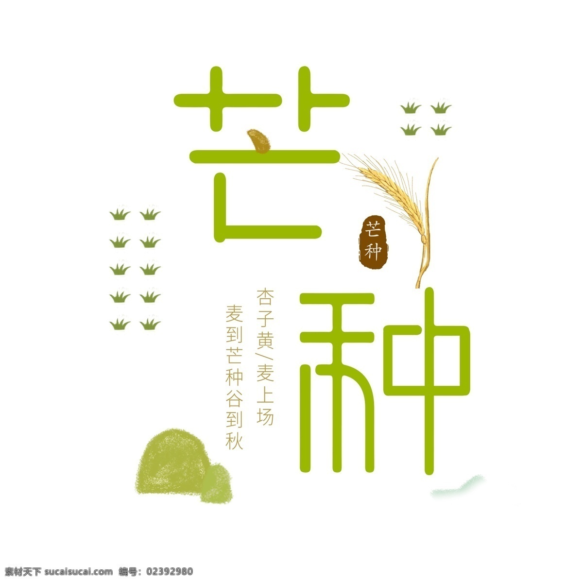 节气 芒种 字体 手 绘图 手绘植物 绿草 绿色清新 24节气 麦穗 小麦 青山 创意字体 电商平面应用 简洁