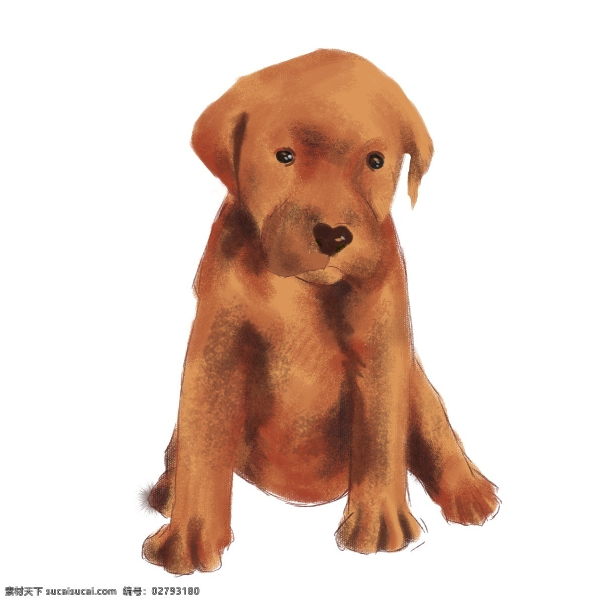可爱 棕色 小狗 害羞 可爱的小狗 奔跑的小狗 卡通小狗 橙色小狗 可爱的 卡通 奔跑 橙色