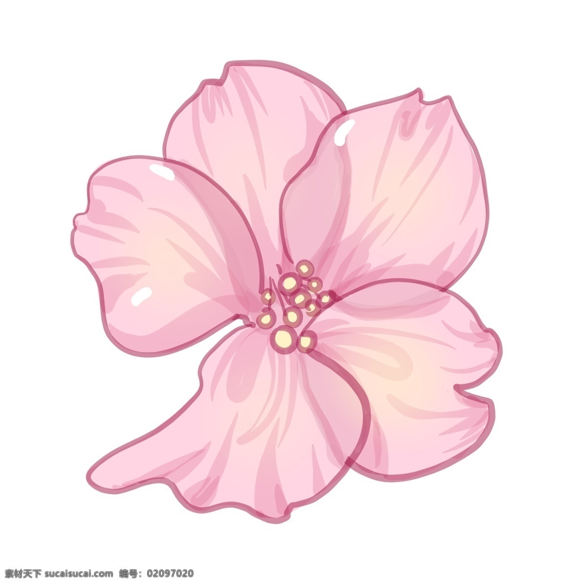 朵 盛开 樱花 插画 花朵 粉色花朵 鲜花 花卉 植物 红色樱花 盛开的樱花 黄色花蕊 粉色花瓣