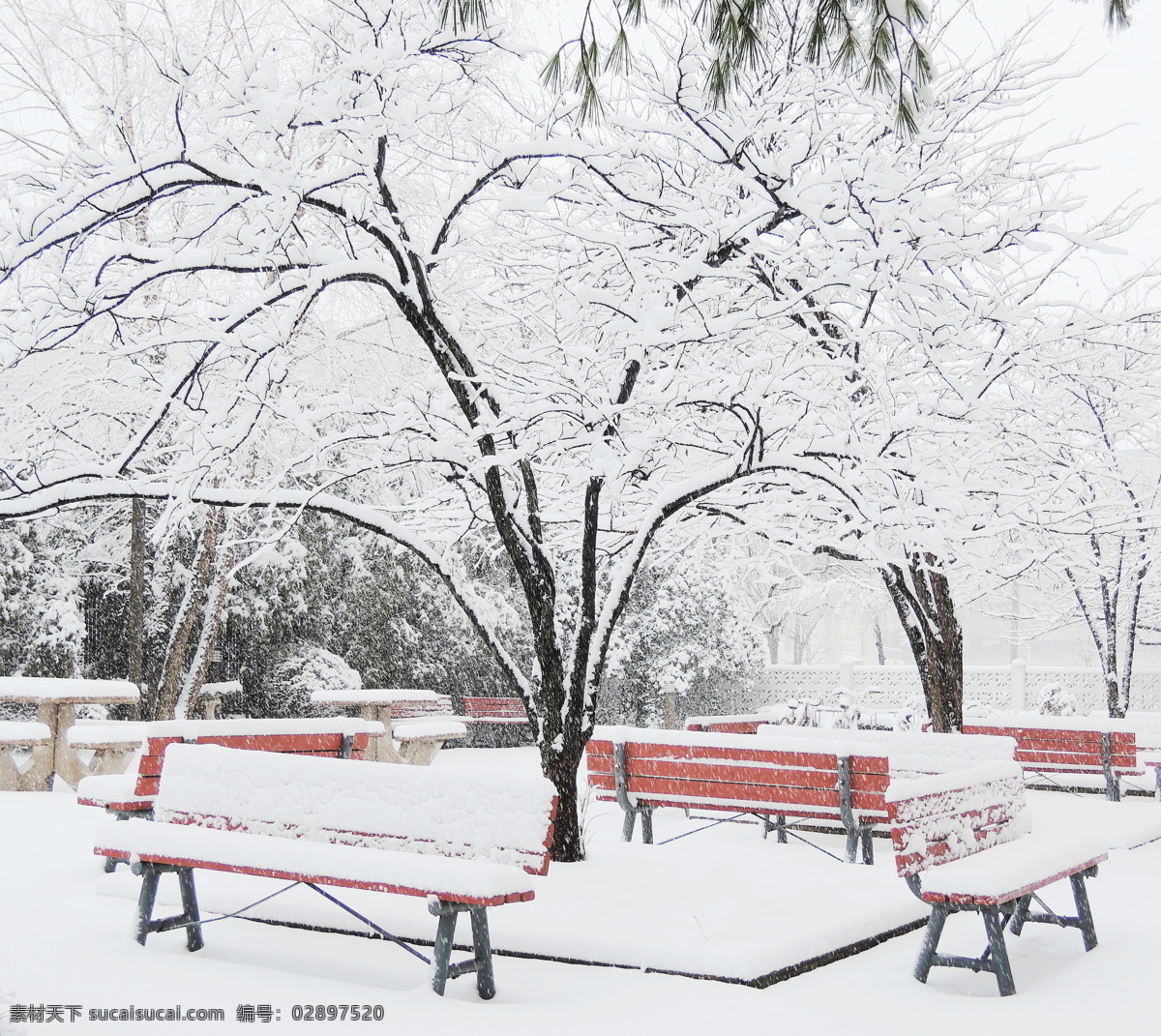 美丽 公园 雪景 冬天风景 椅子 丽公园风景 公园冬季风景 美丽雪景 雪地风景 风景摄影 雪景图片 风景图片